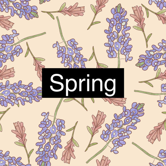 Spring mystery category